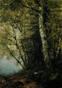 Study of Beeches, 1872 by John Frederick Kensett