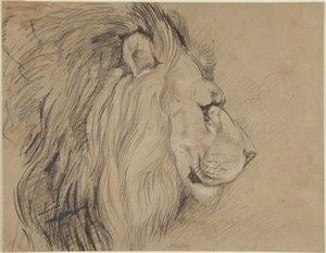 Lion by John Frederick Lewis
