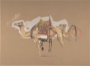Two Camels, ca. 1843