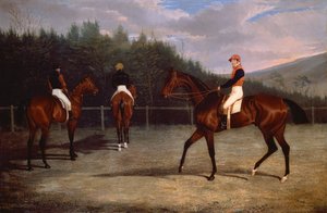 The Start of the Goodwood Gold Cup