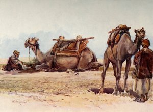 Study of Camels and Attendants