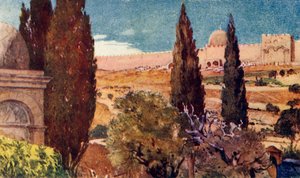 The Cypresses of the Garden of Gethsemane, 1902