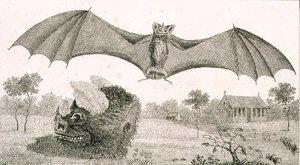 The Vampire or Spectre of Guiana