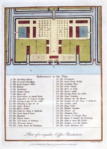 Plan of a Regular Coffee Plantation, 1813