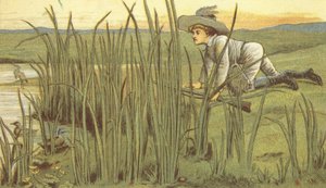 Boy duck shooting by John George (after) Sowerby