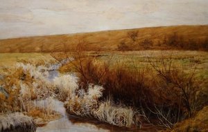 A Meadow in Winter
