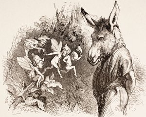 Illustration for A Midsummer Night