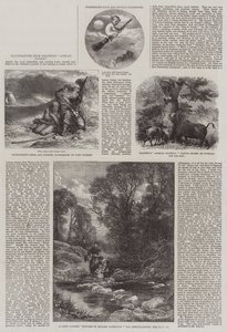 Illustrations from Baldwin