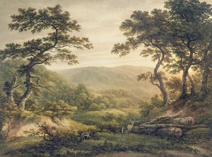 Needlewood Forest, Hampshire by John Glover