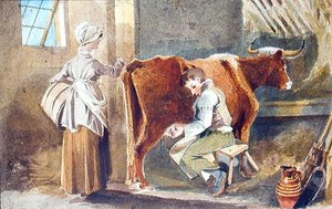 Milking by John Harden