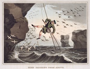 Bird Catching from Above, Engraved by Matthew Dubourg, Published by Edward Orme, 1813