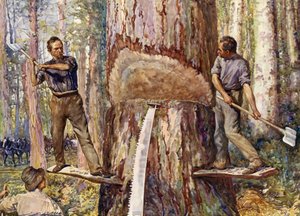 Lumbermen Cutting Timber