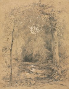 Forest Interior, c. 1870 by John Henry Hill
