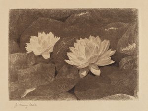 Waterlilies by John Henry Hill