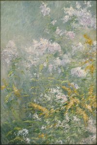Meadow Flowers (Golden Rod and Wild Aster), c.1892