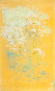 Wild Flowers
