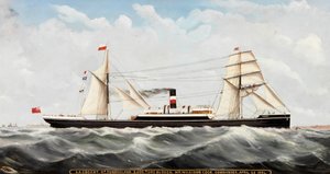 S.S. Cogent of Sunderland, 1884-85 by John Hudson