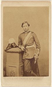 H.R.H. The Prince of Wales by John Jabez Edwin Mayall