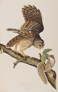 Illustration from 