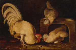 Farmyard Fowls, c. 1827
