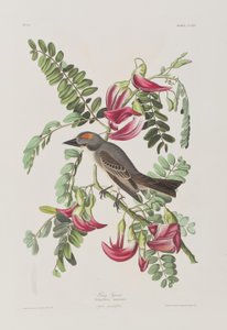 Illustration from 