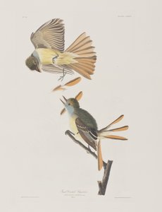 Illustration from 