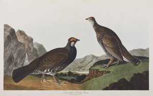 Illustration from 