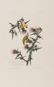 Illustration from 