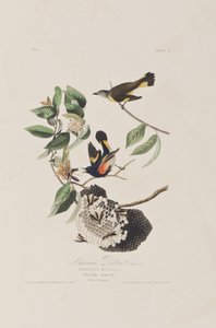 Illustration from 