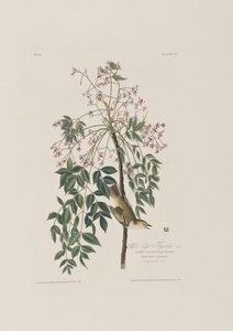 Illustration from 