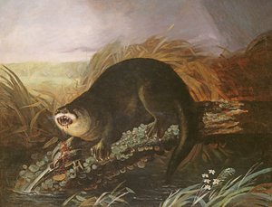 Otter Caught in a Trap by John James Audubon