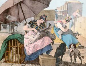 The Dog Groomers