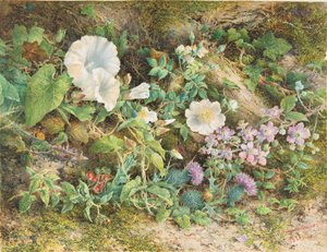 Flower Study