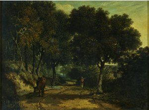 A Shady Country Road