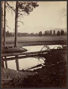 San Francisco Mountains, Arizona by John K. Hillers