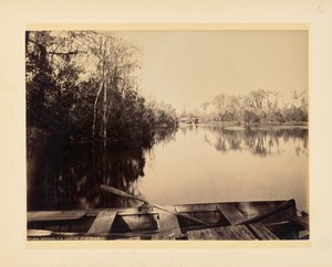 Silver Springs, Florida, Looking Upstream by John K. Hillers