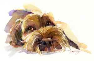 Charlie portrait, 2015