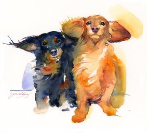 Dachshund Duo, 2014