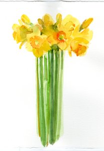 Daffodil Bunch, 2014