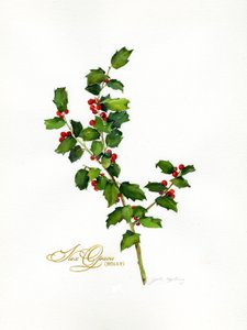 Holly botanical, 2013