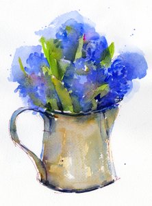 Hyacinth in pitcher, 2014