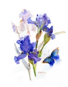 Iris with blue butterfly, 2016