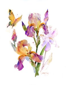Iris with yellow butterfly, 2016