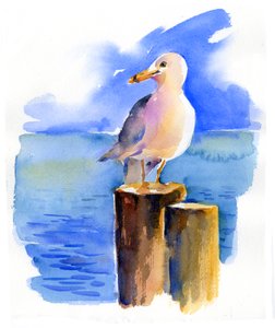 Seagull on dock by John Keeling