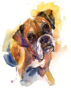 Stanley portrait, 2016