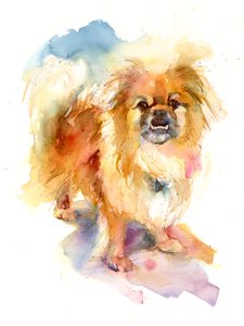 Tipper portrait, 2016