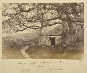 Valonea Oaks with Greek Chapel above, B.H. Renkioi, Dardanelles