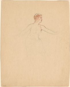 Female Torso
