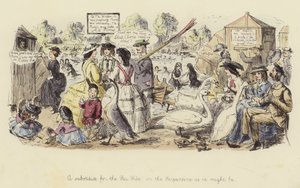 A Substitute for the Sea Side, or the Serpentine as it Might Be