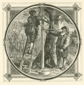 The branches may be trained, but not the trunk by John Leighton